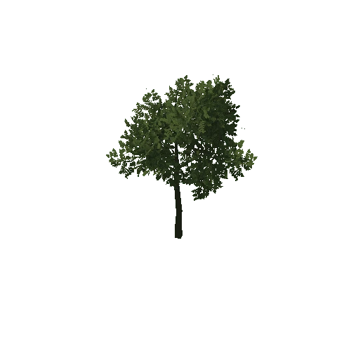 HVR Tree V01 T09 C01